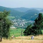 Ferienblockhaus Mit Sauna Und Meinecardplus - Direkt Am Sonnenlift Vakantiehuis