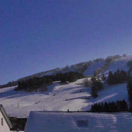 Ferienblockhaus Mit Sauna Und Meinecardplus - Direkt Am Sonnenlift Holiday home Willingen (Upland)