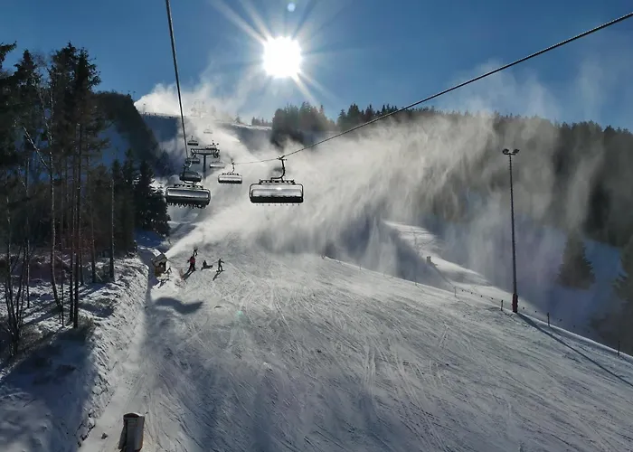 펜션 Ferienblockhaus Willingen Mit Sauna Und Meinecardplus - Direkt Am Sonnenlift 빌링겐